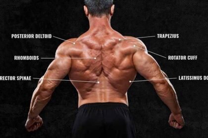 Back and Biceps: The Ultimate Pull Day Guide.